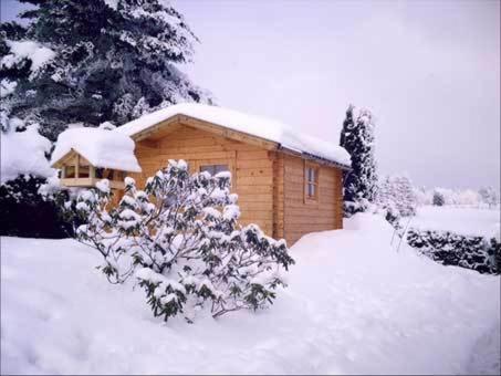 Apartment Jungst Winterberg Exteriör bild