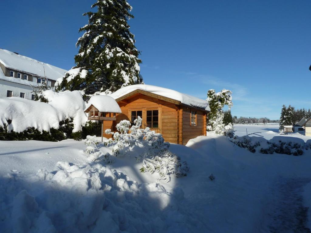 Apartment Jungst Winterberg Exteriör bild