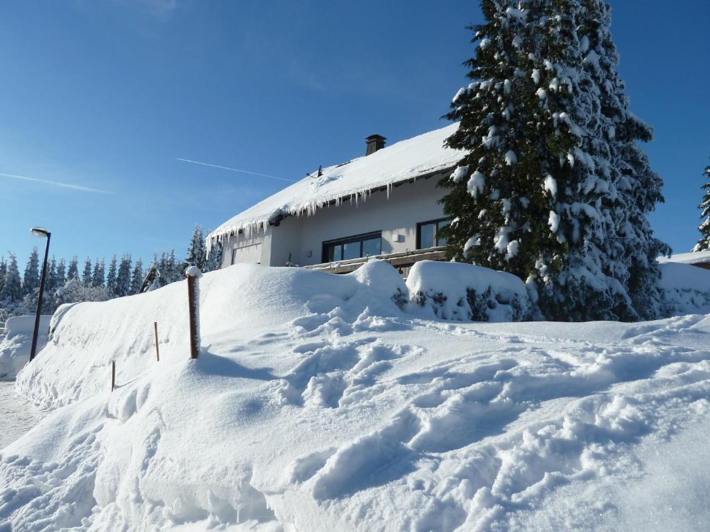 Apartment Jungst Winterberg Exteriör bild